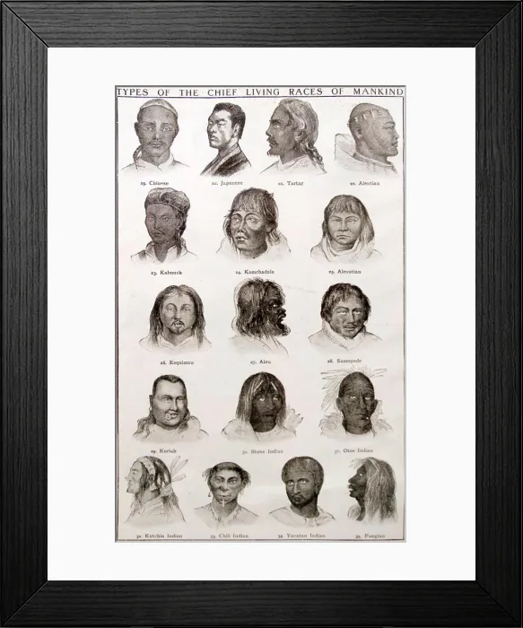Framed Print : Types of the Chief Living Races of Mankind. Dated 19th Century