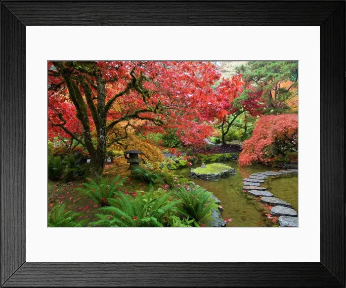 Framed Print : Japanese Garden in autumn at the Butchart Gardens, Victoria, Vancouver Island, British Columbia, Canada Framed Print : Japanese Garden in autumn at the Butchart Gardens, Victoria, Vancouver Island, British Columbia, Canada