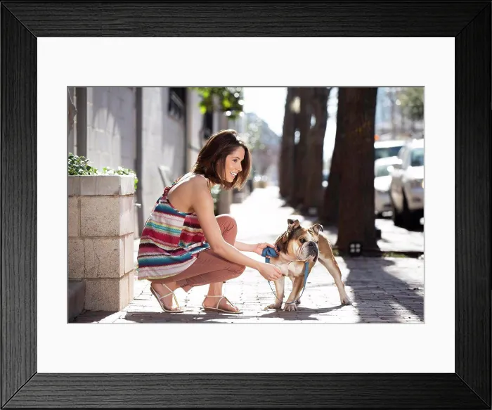 Framed Print : Woman bent down next to her English Bull Dog while holding it on a leash Framed Print : Woman bent down next to her English Bull Dog while holding it on a leash