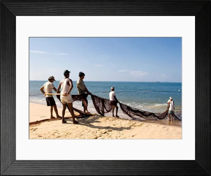 Framed Print : Fishermen pulling big net; Village Bhogwe ; Konkan ; District Sindhudurga ; Maharashtra ; India