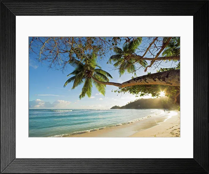 Framed Print : A Tropical Vacation