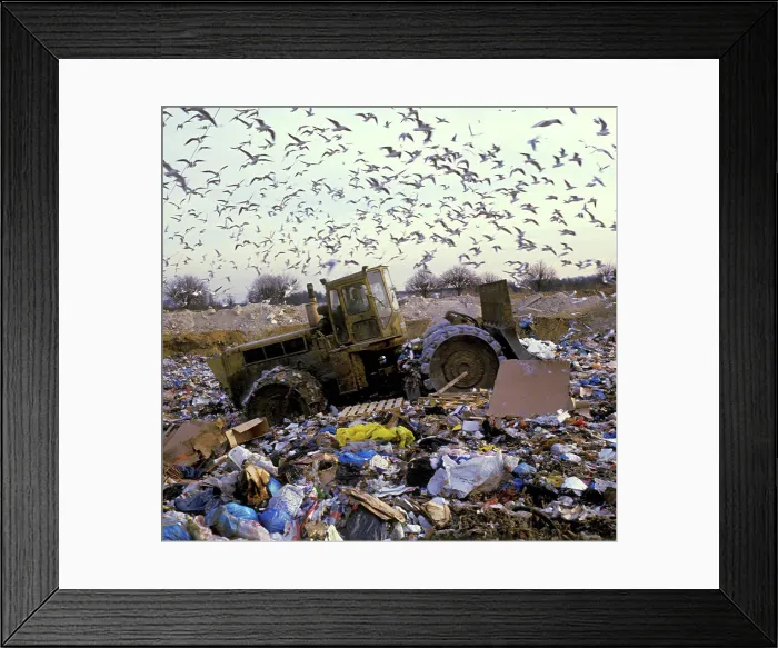 Framed Print : Landfill Compactor in a garbage dump France Framed Print : Landfill Compactor in a garbage dump France