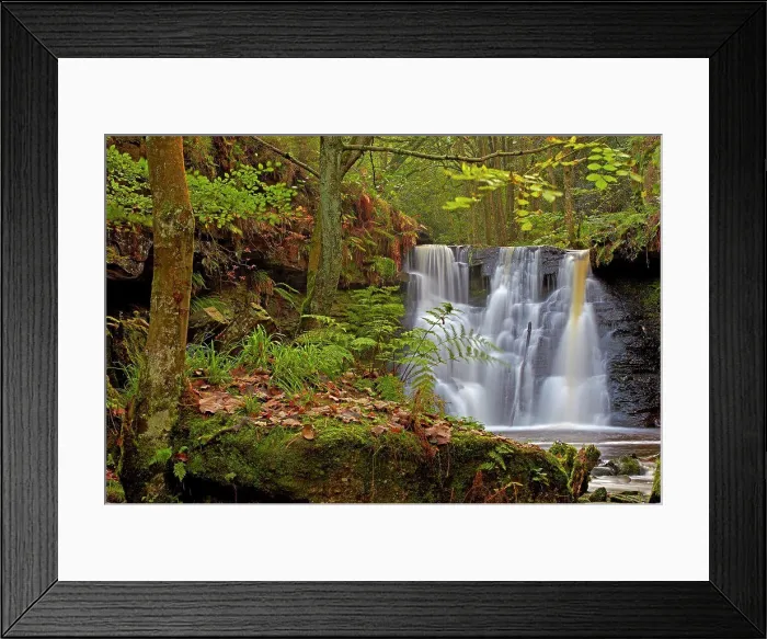 Framed Print : England, West Yorkshire, Harden. Harden Beck cascading over Goit Stock Falls in Goit Stock Wood Framed Print : England, West Yorkshire, Harden. Harden Beck cascading over Goit Stock Falls in Goit Stock Wood