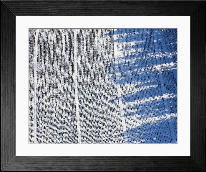 Framed Print : fir tree area with snow, forestry, Eslohe (Sauerland), Sauerland Framed Print : fir tree area with snow, forestry, Eslohe (Sauerland), Sauerland