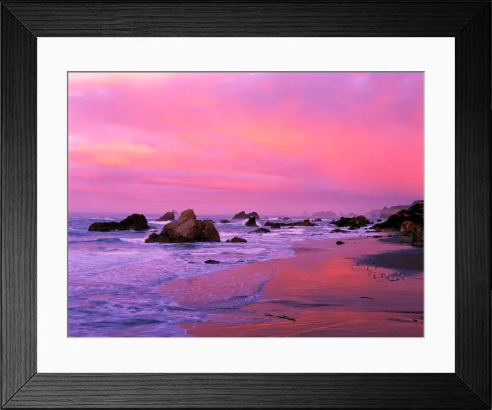 Framed Print : USA, Oregon, Harris State Beach, Brookings. Sea stacks at dawn Framed Print : USA, Oregon, Harris State Beach, Brookings. Sea stacks at dawn