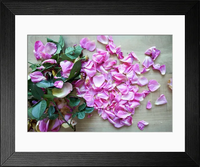 Framed Print : Pink roses without petals on a wooden table Framed Print : Pink roses without petals on a wooden table