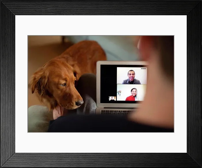 Framed Print : Man with dog video chatting at laptop screen Framed Print : Man with dog video chatting at laptop screen