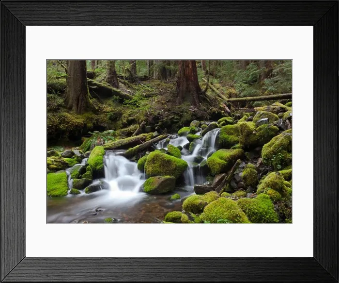 Framed Print : Sol Duc Waterfall in the rain forest of Olympic National Park. Sol Duc means magic waters Framed Print : Sol Duc Waterfall in the rain forest of Olympic National Park. Sol Duc means magic waters