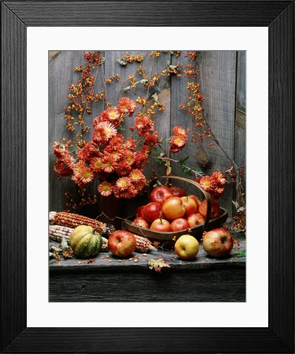 Framed Print : AUTUMN HARVEST STILL LIFE SQUASH AND FRUITS FLOWERS AND CORN AGAINST BARN WOOD Framed Print : AUTUMN HARVEST STILL LIFE SQUASH AND FRUITS FLOWERS AND CORN AGAINST BARN WOOD