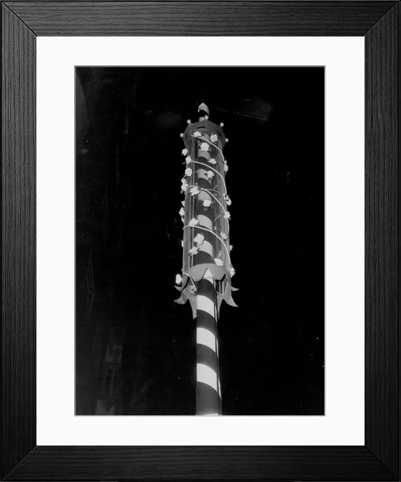 Framed Print : Coronets, roses, a red-and-white 'Barber's Pole' Framed Print : Coronets, roses, a red-and-white 'Barber's Pole'