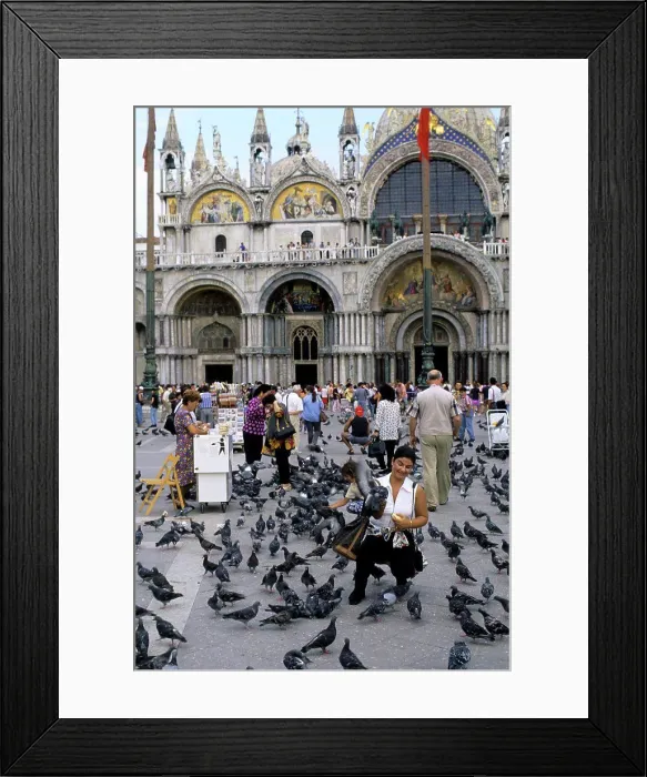 Framed Print : Italy, Venice, San Marco Quarter, St, Mark's Square, St. Mark's cathedral, Tourist feeding pigeons Framed Print : Italy, Venice, San Marco Quarter, St, Mark's Square, St. Mark's cathedral, Tourist feeding pigeons