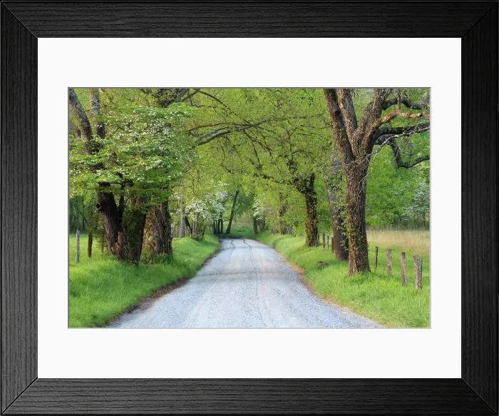 Framed Print : North America; USA; Tennessee; Lane at Cades Cove in the spring in the Smoky Mountains.NP Framed Print : North America; USA; Tennessee; Lane at Cades Cove in the spring in the Smoky Mountains.NP