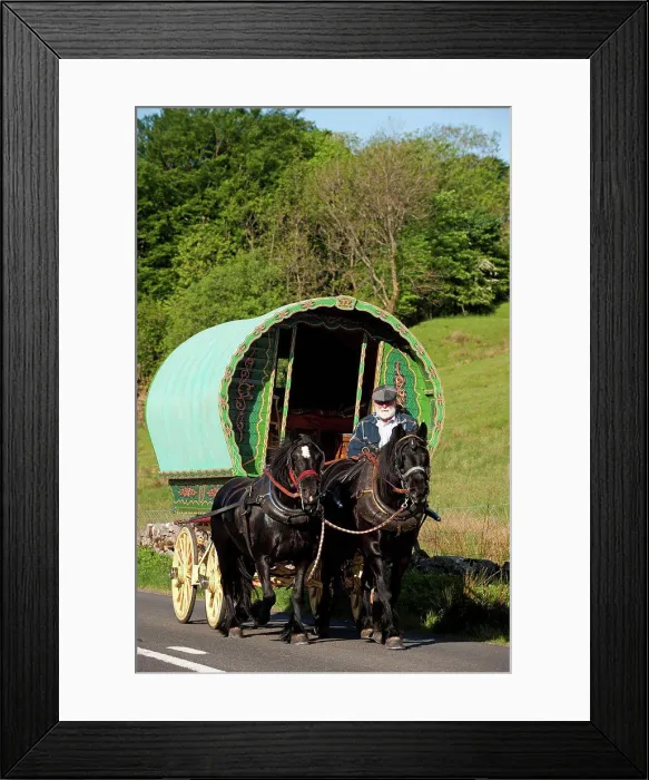 Framed Print : Horse drawn Gypsy caravan on road to Appleby Horse Fair, near Ravenstonedale, Cumbria, England, june Framed Print : Horse drawn Gypsy caravan on road to Appleby Horse Fair, near Ravenstonedale, Cumbria, England, june