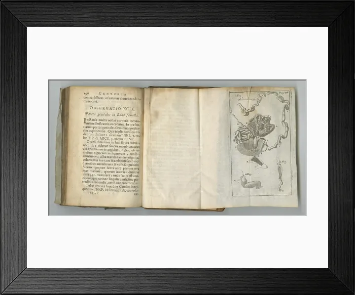 Framed Print : Anatomy, book and medical drawing on paper in antique