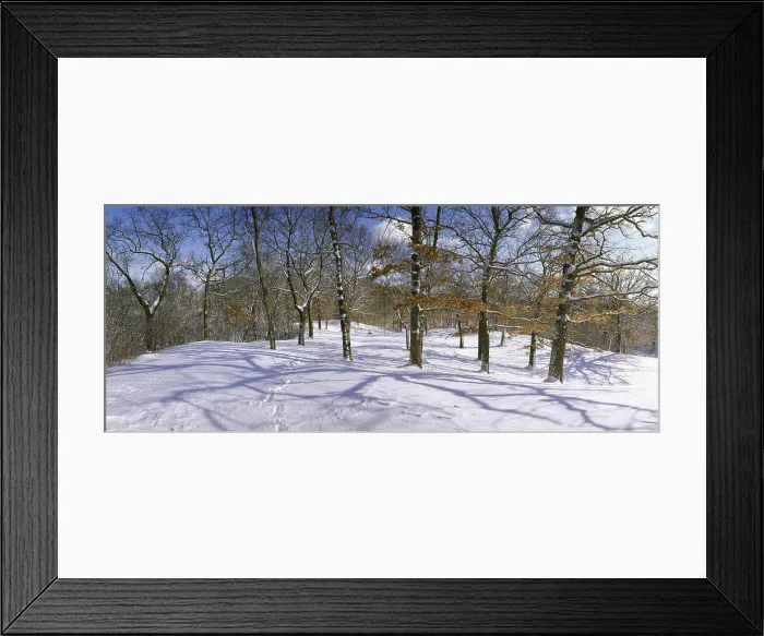Framed Print : Winter Four Season Set