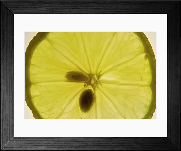 Framed Print : Zitronenscheibe citrus limon Zitronenscheibe citrus limon Copyright: xZoonar.com / WalterxG.xAllgöwerx 6049601 Framed Print : Zitronenscheibe citrus limon Zitronenscheibe citrus limon Copyright: xZoonar.com / WalterxG.xAllgöwerx 6049601