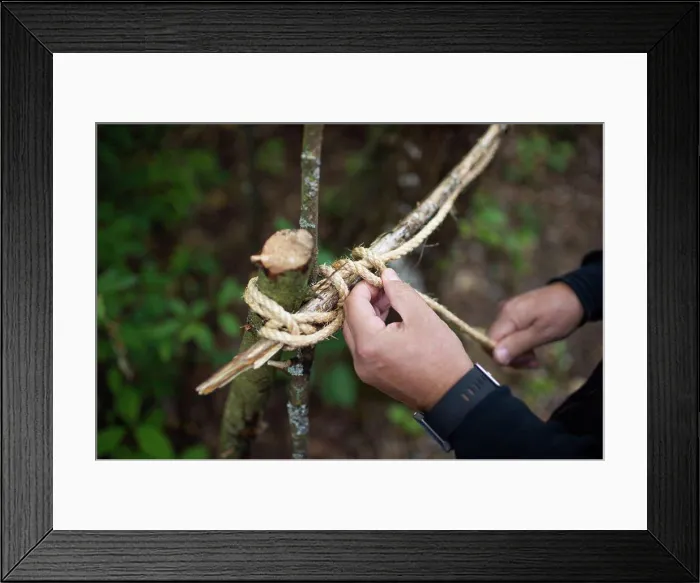 Framed Print : Man ties sticks together with twine to make tree fort