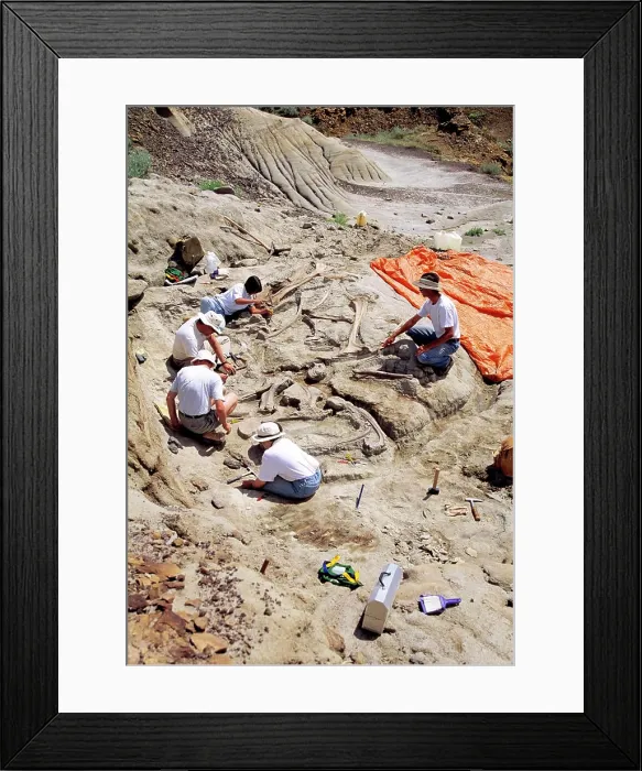 Framed Print : Archeologists working at a dig sight of a fossilized dinosaur, Dinosaur Provincial Park, Alberta, Canada Framed Print : Archeologists working at a dig sight of a fossilized dinosaur, Dinosaur Provincial Park, Alberta, Canada