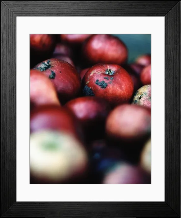 Framed Print : Red apples Framed Print : Red apples