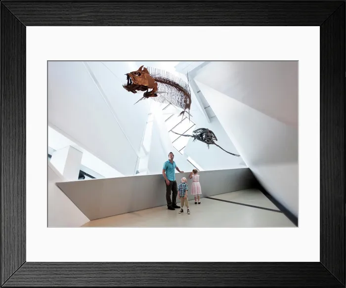 Framed Print : Dad with little girl and boy looking at dinosaur fossils at Royal Ontario Museum, Toronto, Ontario, Canada Framed Print : Dad with little girl and boy looking at dinosaur fossils at Royal Ontario Museum, Toronto, Ontario, Canada