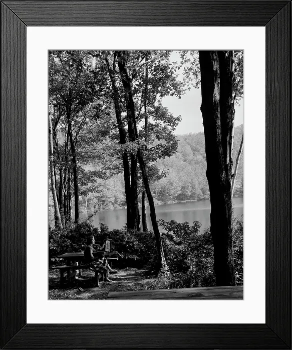 Framed Print : USA, Massachusetts, Savoy Mountain State Forest, Young woman painting by lake Framed Print : USA, Massachusetts, Savoy Mountain State Forest, Young woman painting by lake