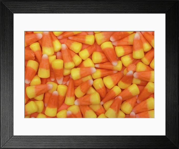 Framed Print : North America, USA, WA, Redmond, candy corn patter