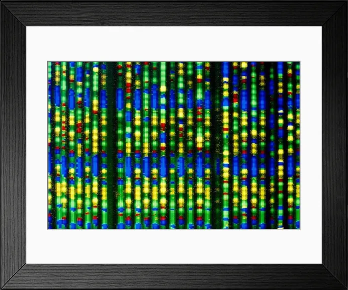Framed Print : Computer Display of DNA Sequence