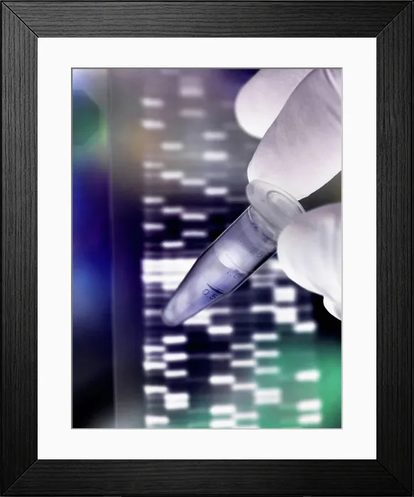 Framed Print : DNA research