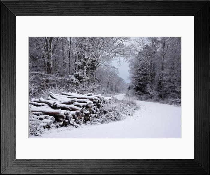 Framed Print : England, Wiltshire, nr Malmesbury. A log pile alongside a snow covered path in a forest during winter Framed Print : England, Wiltshire, nr Malmesbury. A log pile alongside a snow covered path in a forest during winter