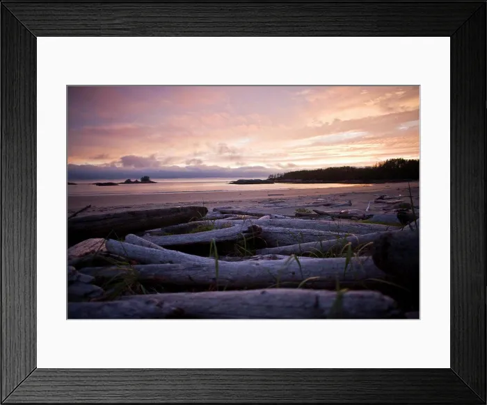 Framed Print : Drift wood along a beach at sunset