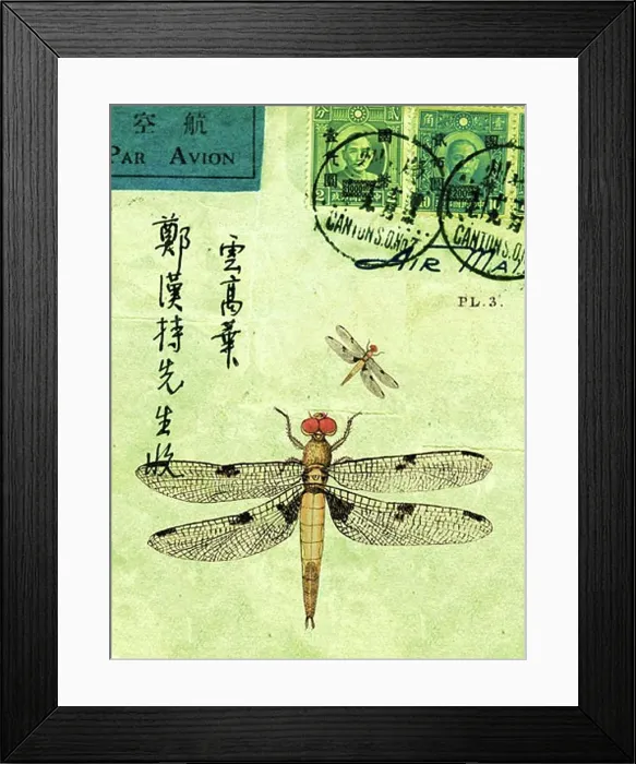 Framed Print : An old letter with stamps, Chinese characters, and dragonflies Framed Print : An old letter with stamps, Chinese characters, and dragonflies