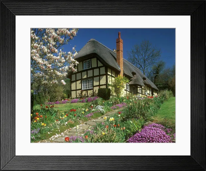 Framed Print : England, Herefordshire, Eastnor. A view to a thatched cottage and its colourful garden Framed Print : England, Herefordshire, Eastnor. A view to a thatched cottage and its colourful garden