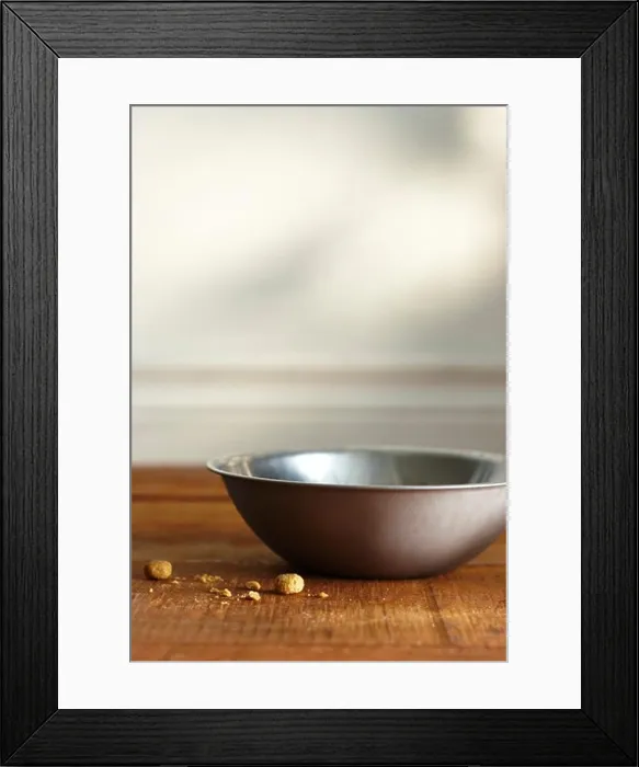 Framed Print : Empty Bowl of Dog Food