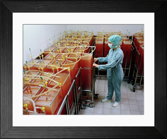 Framed Print : The production of genetically engineered incubators for growing cell cultures in a factory Framed Print : The production of genetically engineered incubators for growing cell cultures in a factory