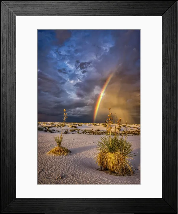 Framed Print : USA, New Mexico, White Sands National Park. Thunderstorm rainbow over desert