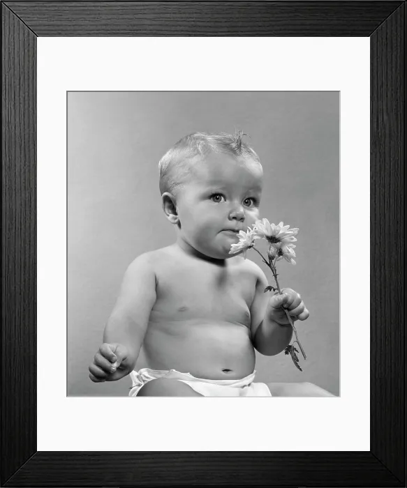 Framed Print : 1950S Baby Sitting Full Figure Holding Smell Smelling Flowers Daisy Aroma Odor Fragrance Sniff Whiff Diaper