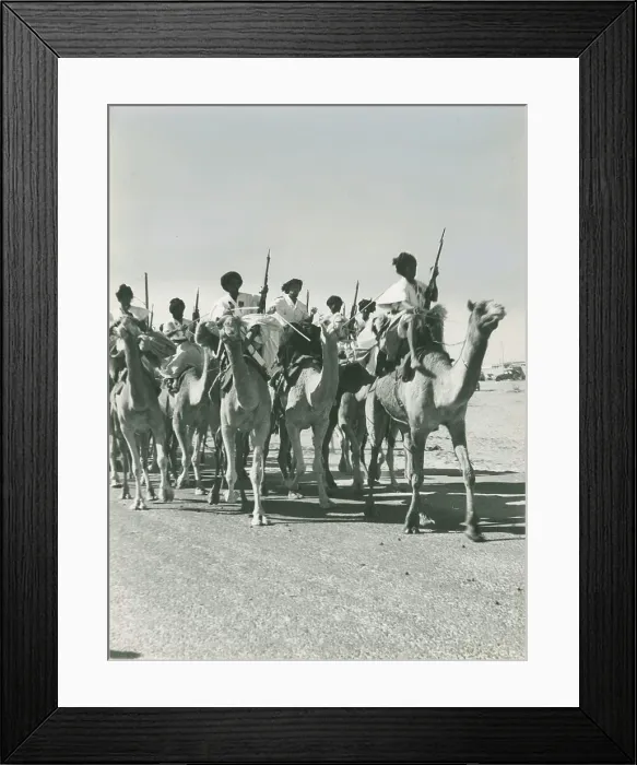 Framed Print : Mauritanian army Meharists on dromedaries in the desert, elite troops for police units Framed Print : Mauritanian army Meharists on dromedaries in the desert, elite troops for police units