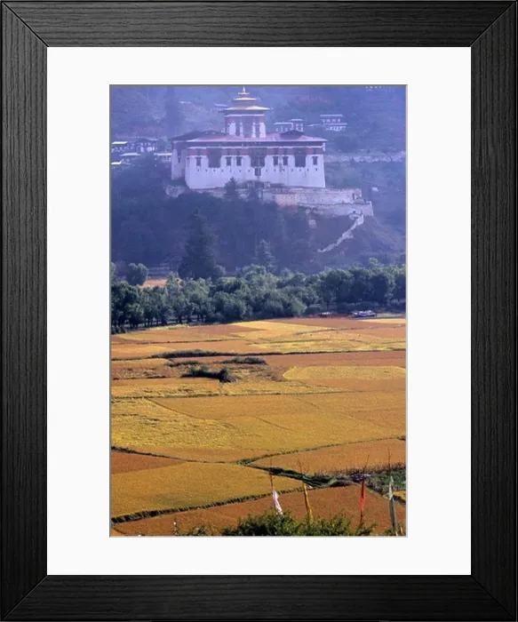 Framed Print : Rinpung Dzong and the fields, Paro, Bhutan Framed Print : Rinpung Dzong and the fields, Paro, Bhutan