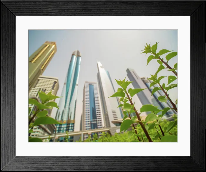 Framed Print : Skyscrapers against the background of flowering flowers on Sheikh Zayed Road in Dubai Framed Print : Skyscrapers against the background of flowering flowers on Sheikh Zayed Road in Dubai