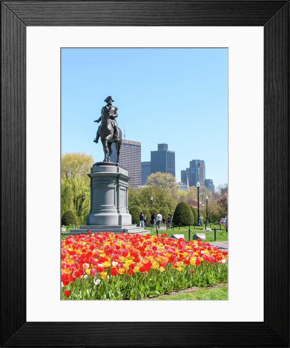 Framed Print : USA, Massachusetts, Boston, Boston Public Garden Framed Print : USA, Massachusetts, Boston, Boston Public Garden