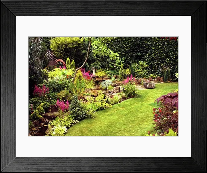 Framed Print : Perennial garden Framed Print : Perennial garden
