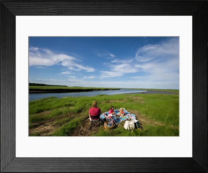 Framed Print : A picnic next to a tidal estuary in Plum Island Sound Massachusetts USA (MR) Framed Print : A picnic next to a tidal estuary in Plum Island Sound Massachusetts USA (MR)