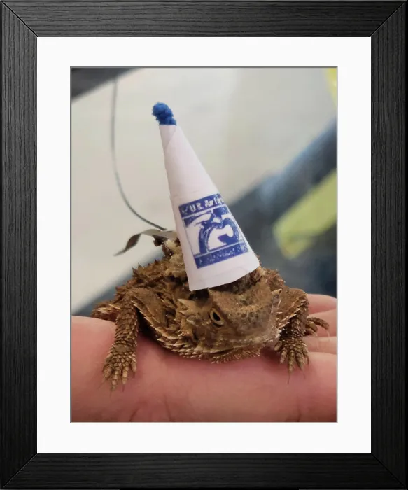 Framed Print : It's Earth Day! What better way to celebrate it than with Tinker's official mascot the Texas horned lizards Framed Print : It's Earth Day! What better way to celebrate it than with Tinker's official mascot the Texas horned lizards