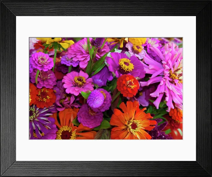 Framed Print : USA, Georgia, Savannah, Bouquet of colorful flowers at market. (PR) Framed Print : USA, Georgia, Savannah, Bouquet of colorful flowers at market. (PR)