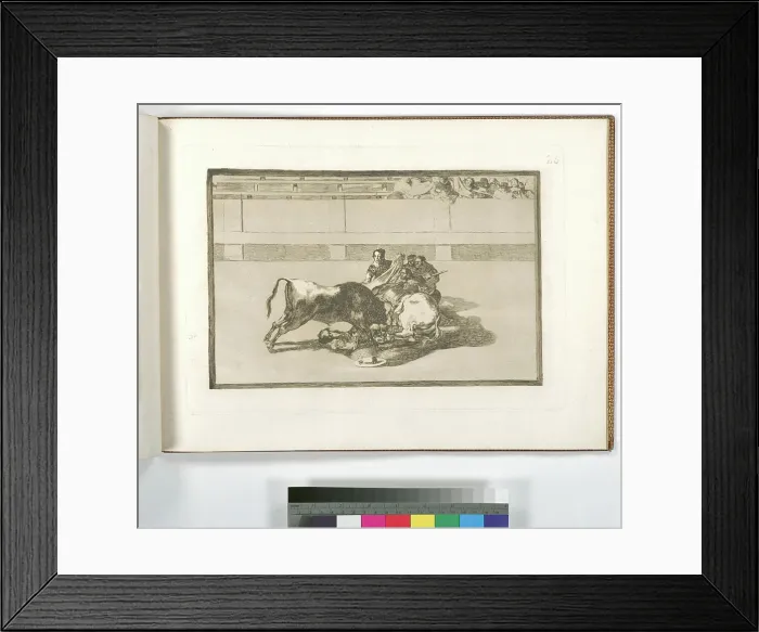 Framed Print : Caida de un picador de su caballo debajo del toro
