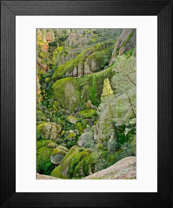 Framed Print : Moss on Rocks Framed Print : Moss on Rocks