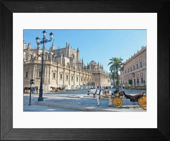 Framed Print : View of horse cab at Sevilla cathedral, Sevilla, Andalusia, Spain