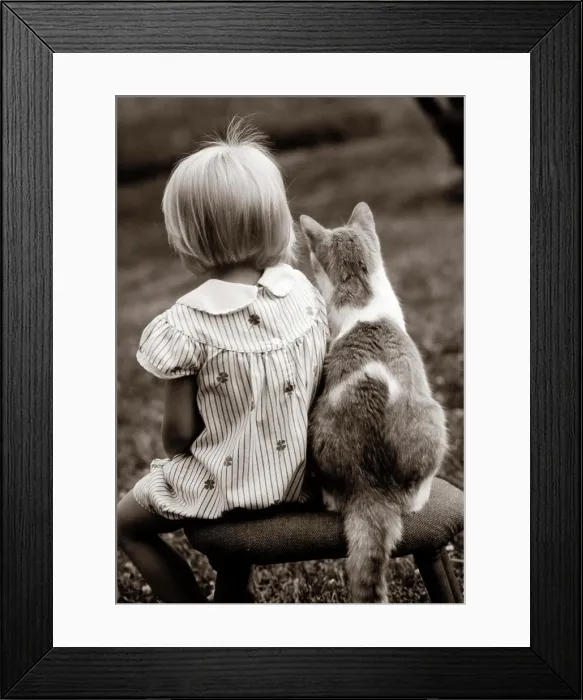 Framed Print : 1980S Rear View Of Little Girl & Cat Sitting Outside On Stool Framed Print : 1980S Rear View Of Little Girl & Cat Sitting Outside On Stool