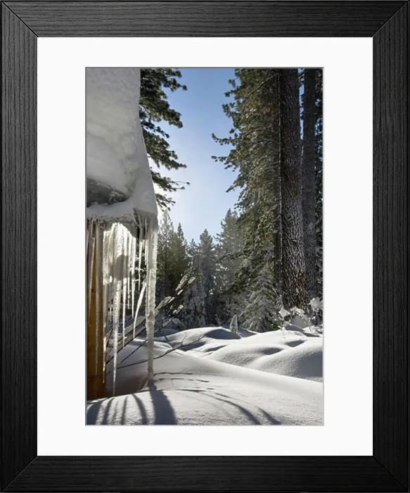 Framed Print : Snowed In Yard, Lake Tahoe, California, USA Framed Print : Snowed In Yard, Lake Tahoe, California, USA