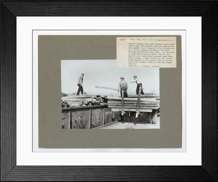 Framed Print : Pulp and Paper Woods - Minnesota Framed Print : Pulp and Paper Woods - Minnesota